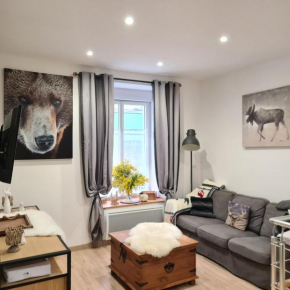 Appartement César de standing plein centre
